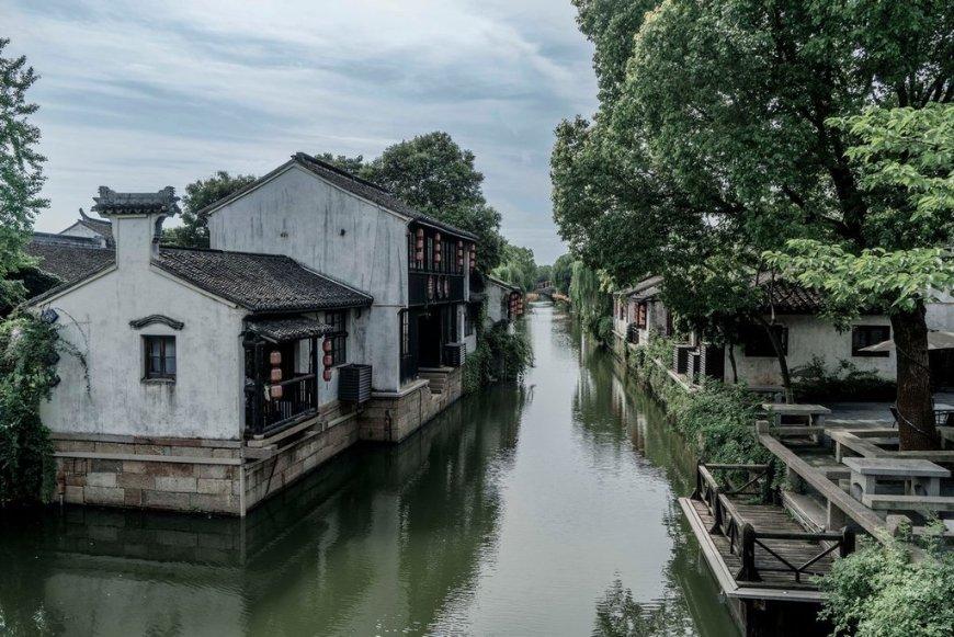 网友与流浪猫、狗的暖心故事!当网友遇上不请自来的小家伙们